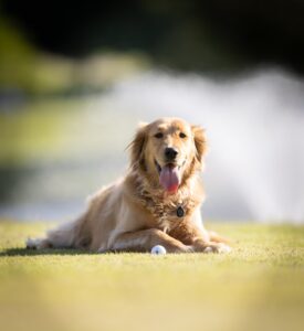 495966562 707553925116952 3867278415108864407 n