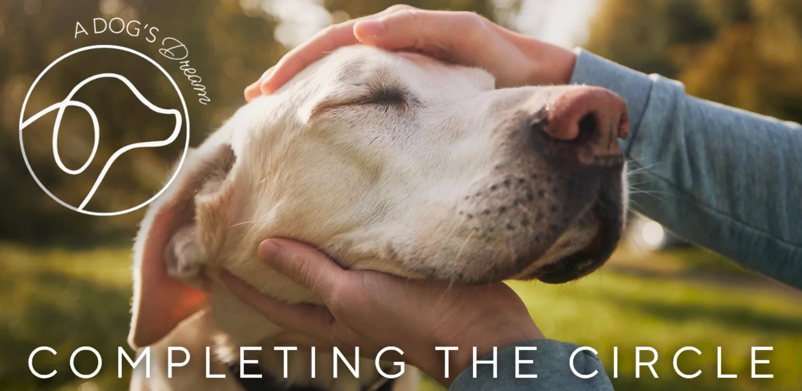 A dogs dream hands petting a happy dog with text Completing the circle