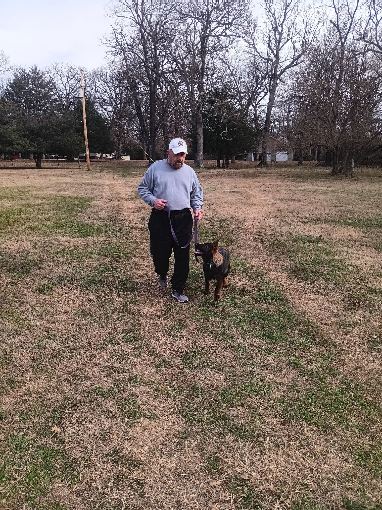 Kimber taking a walk with a volunteer