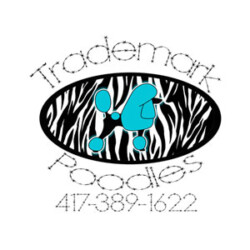 Trademark Poodles
